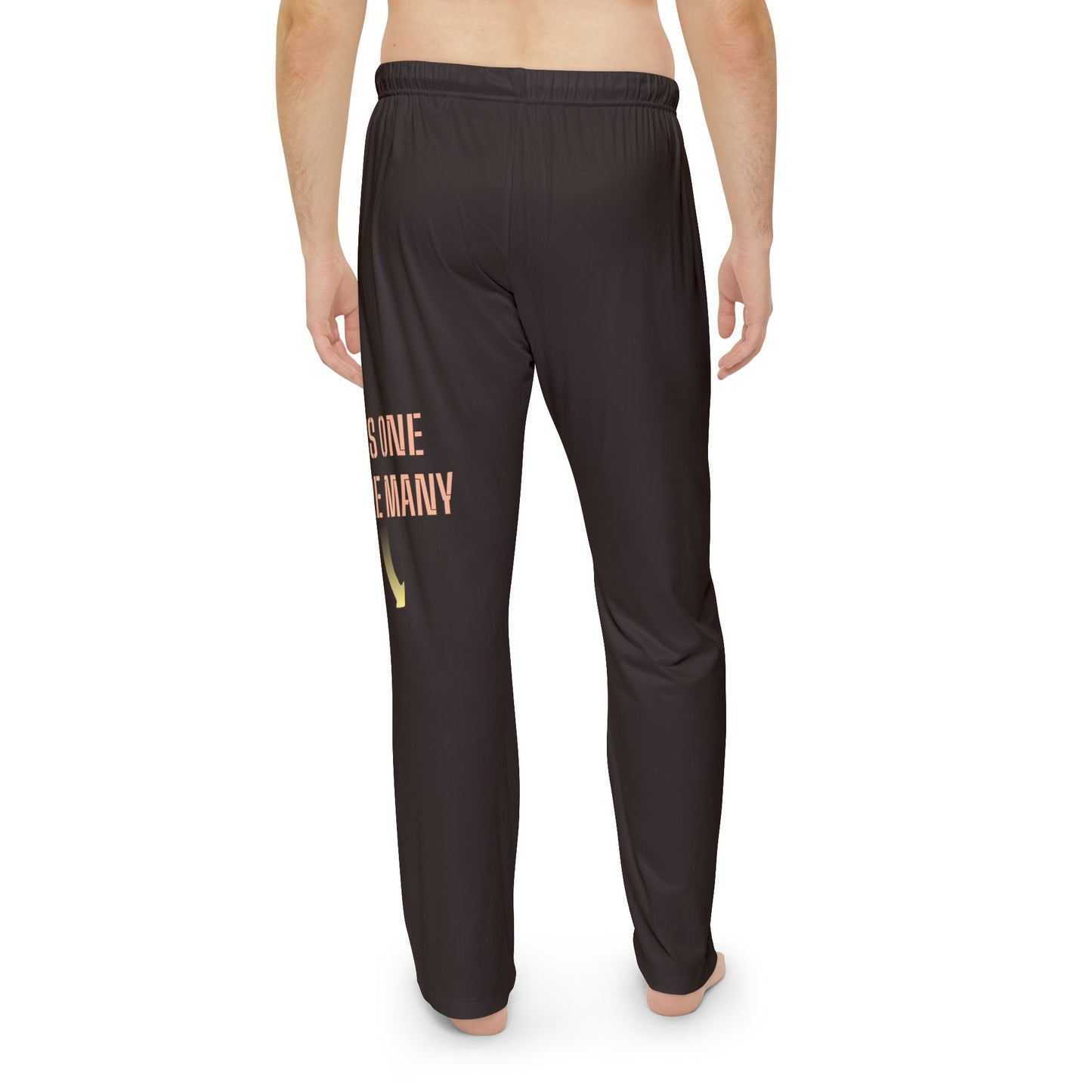 Brown Sweat Pants 40