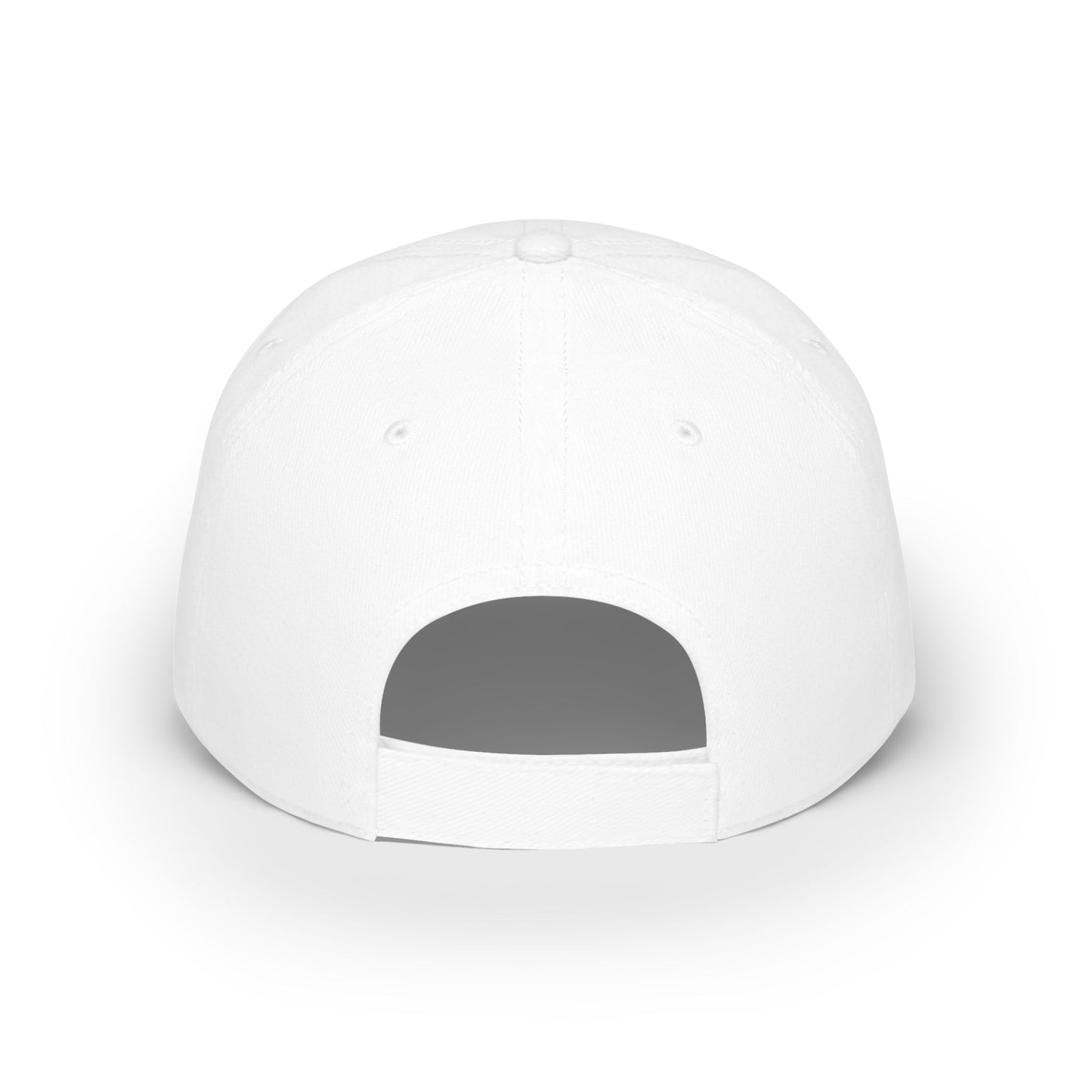 Low Profile Baseball Cap 3