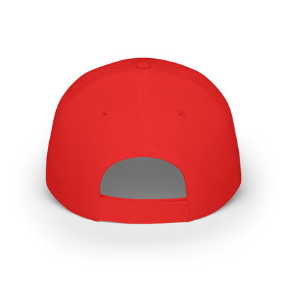 Low Profile Baseball Cap 3